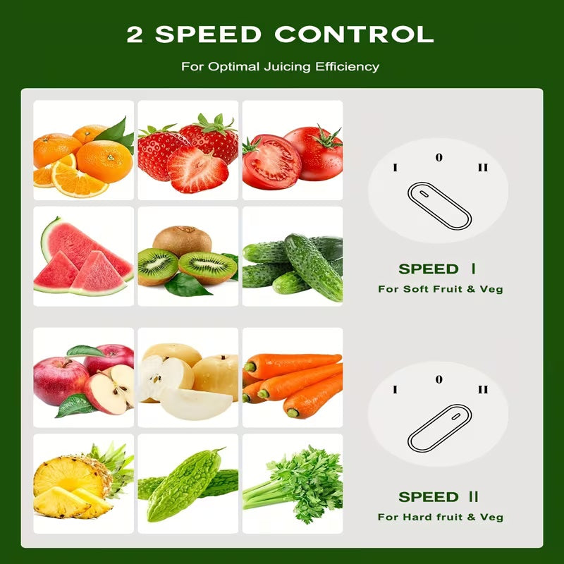Home Electric Juice Extractor, Strong Motor Juicer for Mango, Orange & Vegetables, Easy Clean for Family Daily Fresh Juice